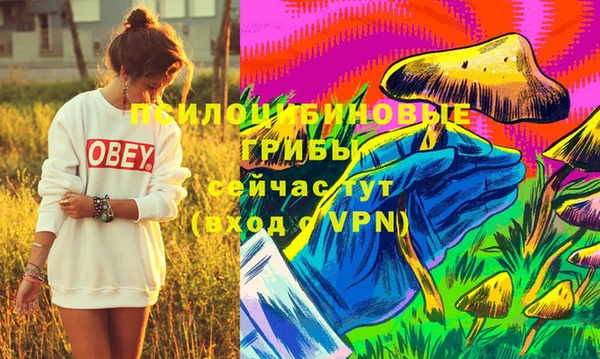 гашиш Аркадак