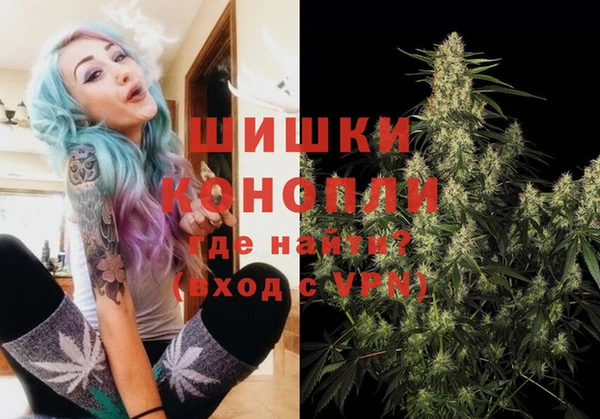 дмт Арсеньев