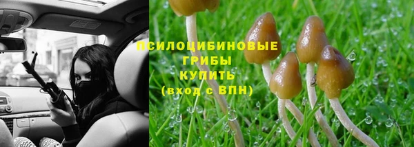 гашиш Аркадак